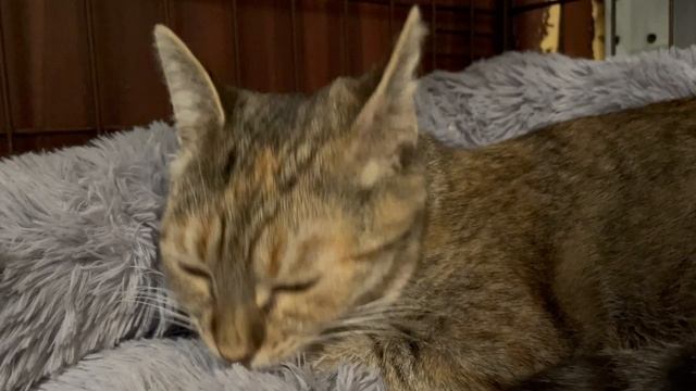 07-02-2025 смотреть онлайн