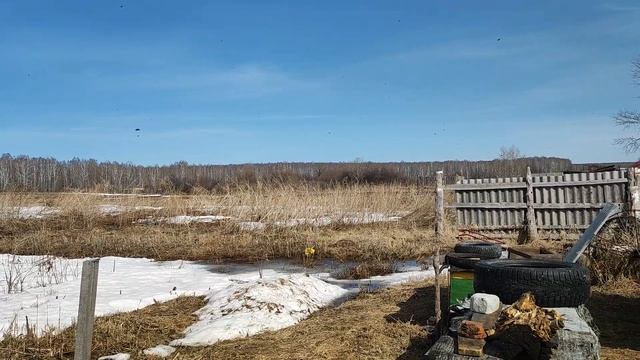 4 04 23г пчелка хорошо летает смотреть онлайн