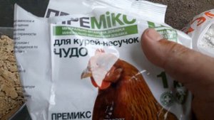 Лучший корм для перепелов. Несутся в любую погоду.
