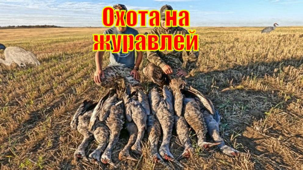 Охота на журавлей