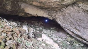 #45 Сочи. Грот Барибана. Декабрь 2024 г