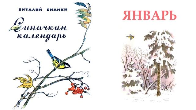 Синичкин календарь. Январь (автор В.Бианки) - Слушать
