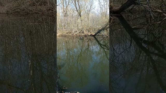 Ловим густеру и плотву на речке смотреть онлайн