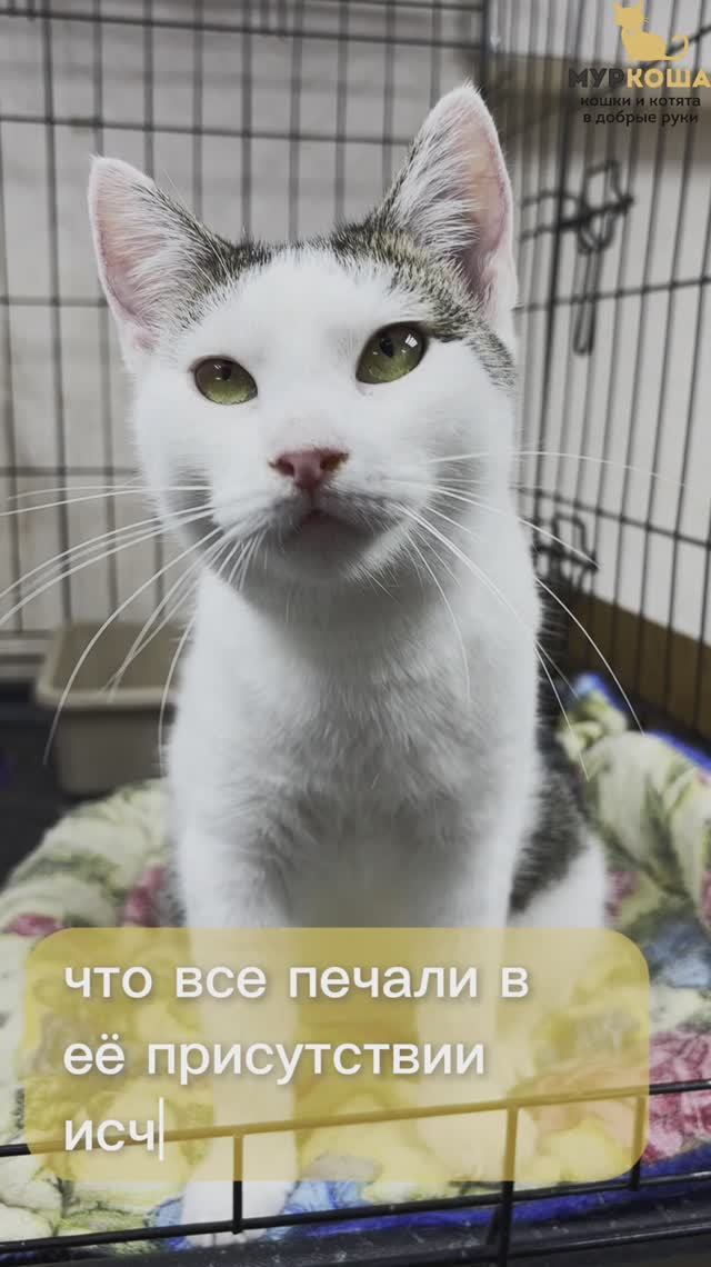 Вэлли (уже дома)