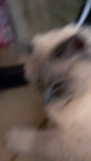 8 апреля 2023 г. смотреть онлайн