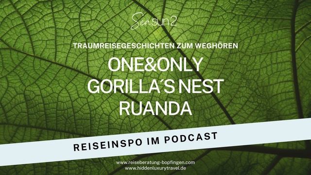 Traumreisegeschichten zum Weghören - One&Only Gorilla´s Nest: Die Erfahrung ihres Lebens смотреть онлайн