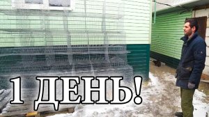 ВСЕ В ДЕЛАХ, ВСЕ В РАБОТЕ