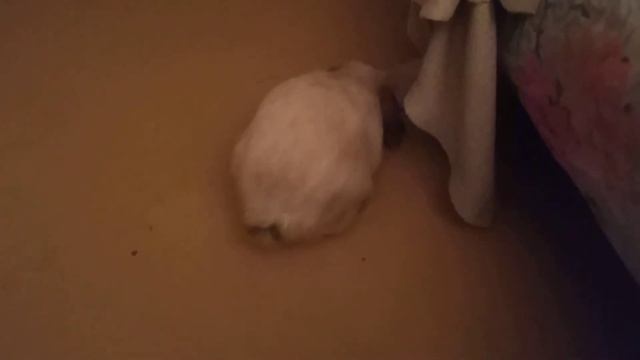 Заня смотреть онлайн