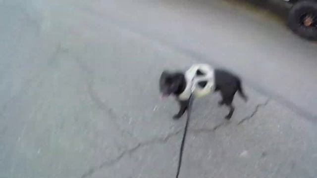 Two-cam Sam смотреть онлайн