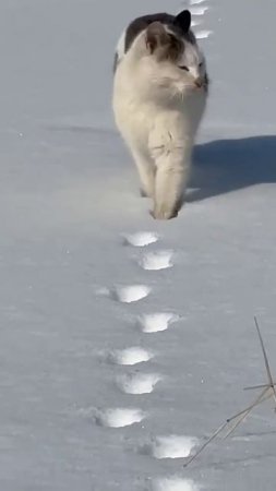 След в след 👣🥰