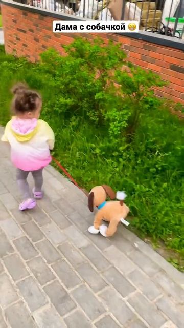 Собака -Шагака и Алиса на прогулке 😜#shorts #прогулка #собака смотреть онлайн