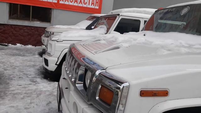 Динозавр существует🦖 🤔 ?#динозавр#алматы#одинденьстовой#америка#италя#istanbul#aşk#gerçek hayat смотреть онлайн