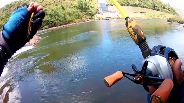 misi mencari sang raja arus (tasik Temengor) смотреть онлайн