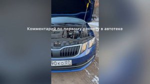 Обзор Skoda Octavia A7 2019 г. с пробегом 161600 км.