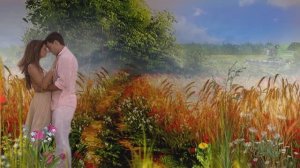 Моя любовь как птица вещая