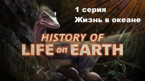 История жизни на Земле. Жизнь в океане (1/4)