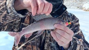 Концентрат приключений и рыбалка близ с. Погиби