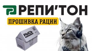 Как прошить радиостанцию Репитон Рысь #репитон #всегда #насвязи