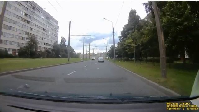 ГОЛУБЬ ГОРОДСКОЙ НИЗКОЛЕТЯЩИЙ смотреть онлайн