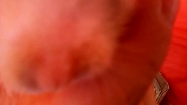 Бешеный хомяк😂😂😂😂😀🔫 смотреть онлайн