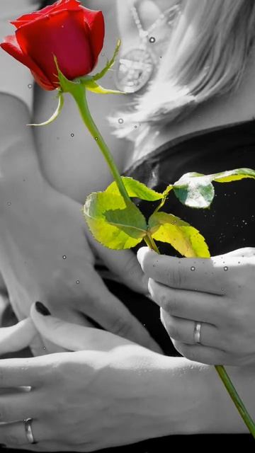 JAKONDA & NEJTRINO - Мама, прости (izmailloff remix) смотреть онлайн