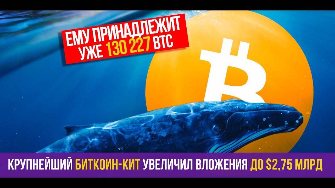 КРУПНЕЙШИЙ БИТКОИН-КИТ УВЕЛИЧИЛ ВЛОЖЕНИЯ ДО $2,75 млрд! смотреть онлайн
