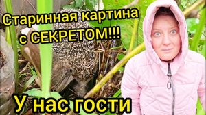 РЕМОНТ В САМОМ РАЗГАРЕ | Старинная картина с секретом | Деревенские будни | Жизнь в деревне
