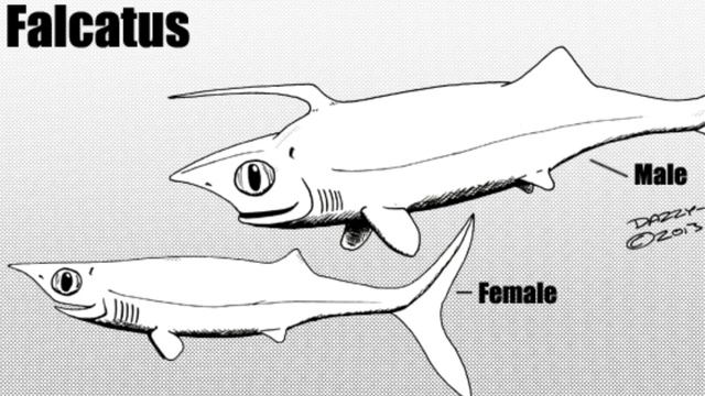 Fossil Friday - The Unicorn Shark - #FossilFriday смотреть онлайн