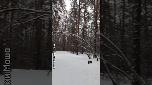 ✨ Что такое гармония природы?