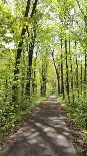 #shorts Take 50 seconds to breathe and relax with nature смотреть онлайн