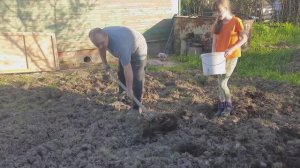 Старая дача. Работа на участке. Сеем, садим.  19мая