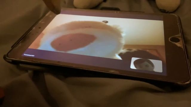 Sheldon breaks Silence after loss to Black Panther talks Bowser Vs Gorilla Johnny and more смотреть онлайн