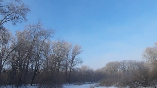 Пруд возле реки Алей, свиньячка.😊