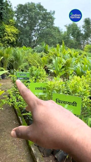 सेकड़ो वैरायटी करोड़ो से पैसा 👌🤯💰 Business idea to earn crores #shorts #indianfarmer
