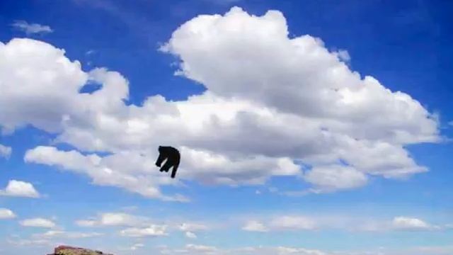 Gorilla Warfare смотреть онлайн