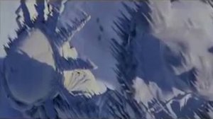 Льдинка   Лейкодинер