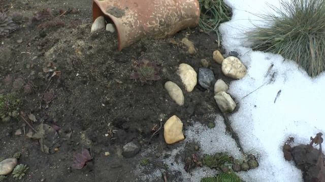 П/П бинчики весеннне настроение! смотреть онлайн