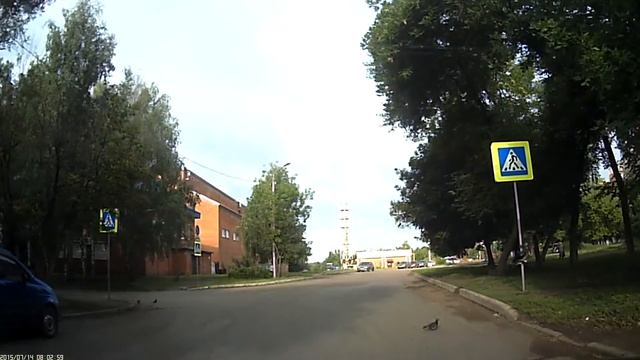 Пешеходный переход (голубь) смотреть онлайн