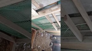 нападение на курятник, имеем что имеем