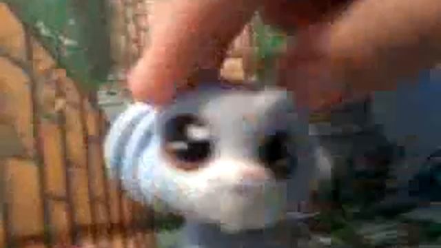 Новинки лпс синий кит?! смотреть онлайн