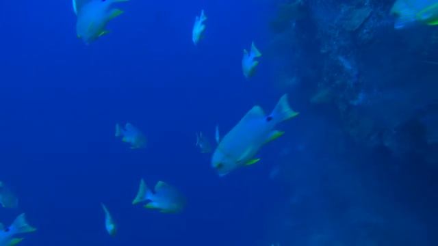 Uepi Update Sept 2014 смотреть онлайн