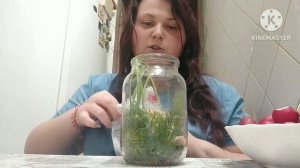 Квашена пряна редиска. Рецепт квашеної редиски.