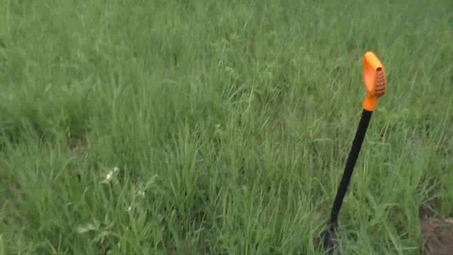 ЧЕШУЯ ТУТ ВОДИТСЯ / ИНТЕРЕСНОЕ СРЕДНЕВЕКОВОЕ МЕСТО. смотреть онлайн