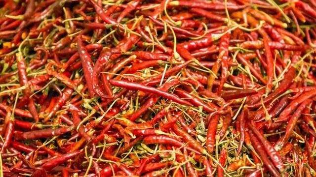 Top 10 Best Tourist Places to Visit in Tijuana | Mexico - English смотреть онлайн