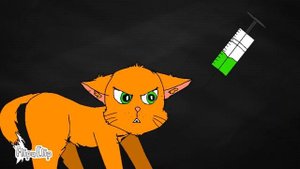 Robo kitty- meme