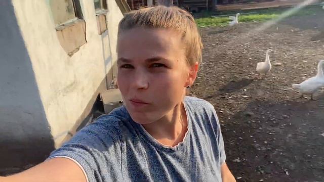 Утренняя кормёжка курей, гусей, уток. Обзор по двору смотреть онлайн