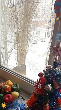 Жду новостей!!!