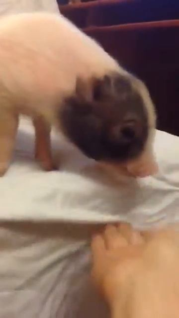 6f5cf48a4c 360 смотреть онлайн