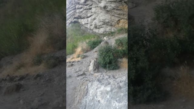 грот Голицына Судак Новый Свет КРЫМ смотреть онлайн