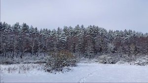 ❤️❤️💘💕 САКСОФОН ,Зимняя сказка❤️❤️💕💘 Красавец февраль Энцо Лупо и его золотой саксофон 🎷